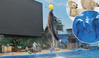 天津极地海洋世界