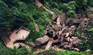 最新幼儿广播体操