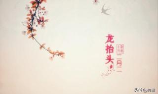 今年为何会有闰二月 今年为何会有闰二月