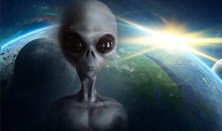 外星动物园 外星动物园