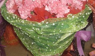 一束康乃馨图片