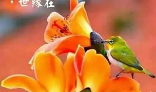 五月二十日 五月二十日