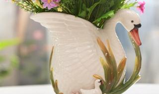 鲜花价格猛涨 鲜花价格猛涨