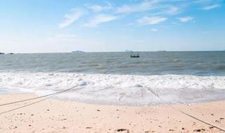 我愿乘风起 我愿乘风起