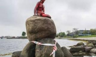 下水道的美鱼人照片