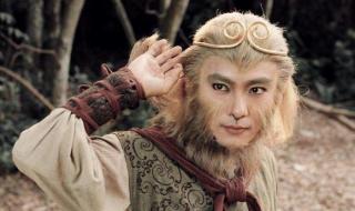 孙悟空陈浩民全集 孙悟空陈浩民全集