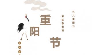 新纪元是什么意思