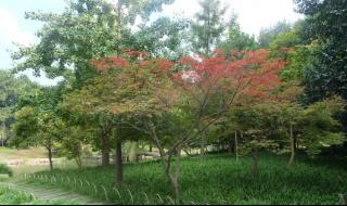 杭州太子湾公园门票