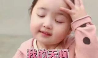 望爱却步歌曲原唱 望爱却步歌曲原唱