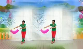 歌曲社员都是向阳花原唱 社员都是向阳花简谱