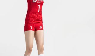 中国女排号码与名单